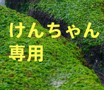 無料発送 けんちゃん専用 - メルカリ その他