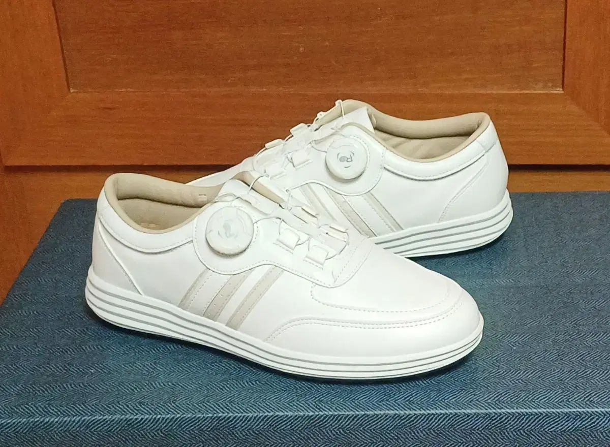 【大人気，限定SALE】 ダイアル 韓国製 250 255 スパイクレス ゴルフシューズ 新品 シューズ(男性用)