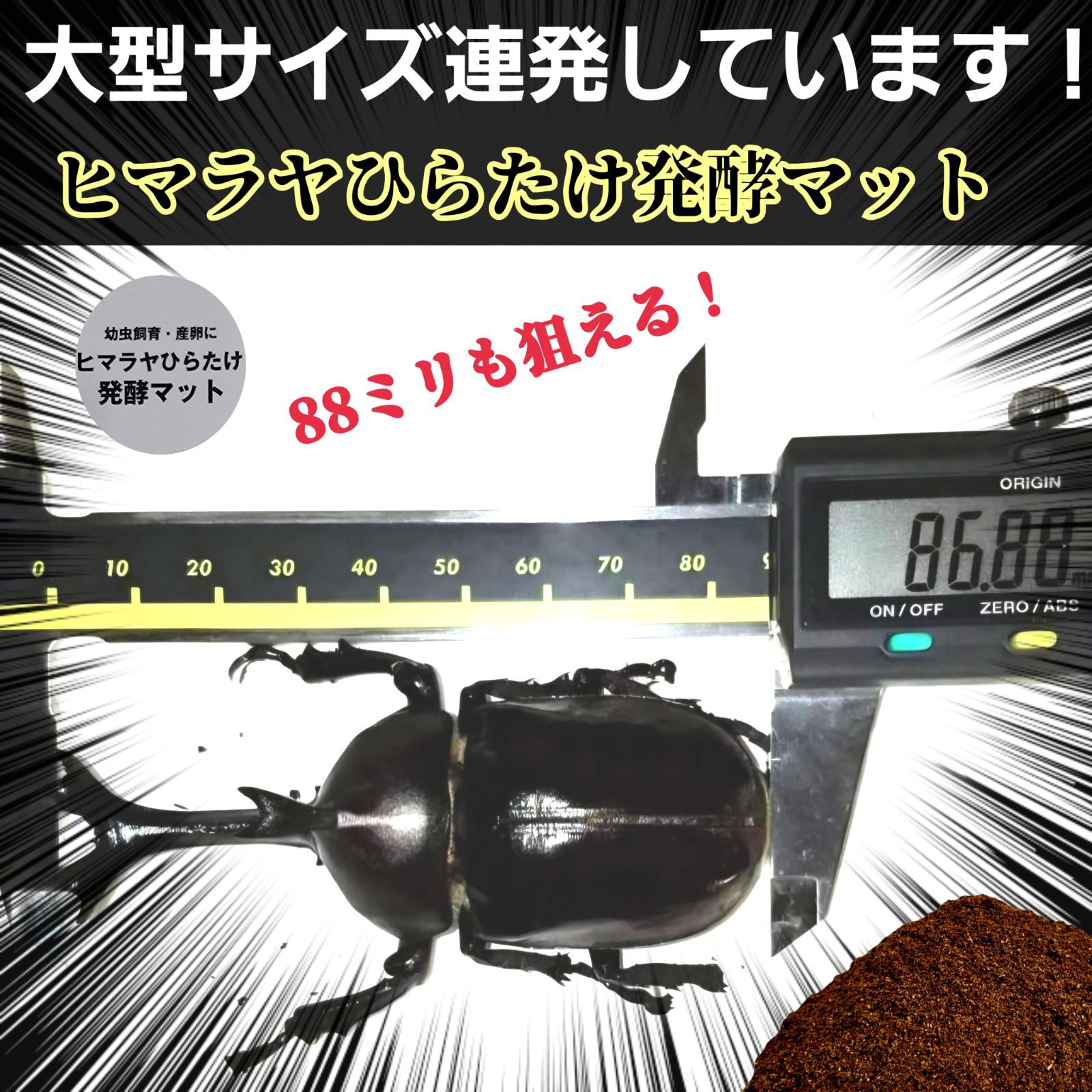 チャック付き１０袋セット