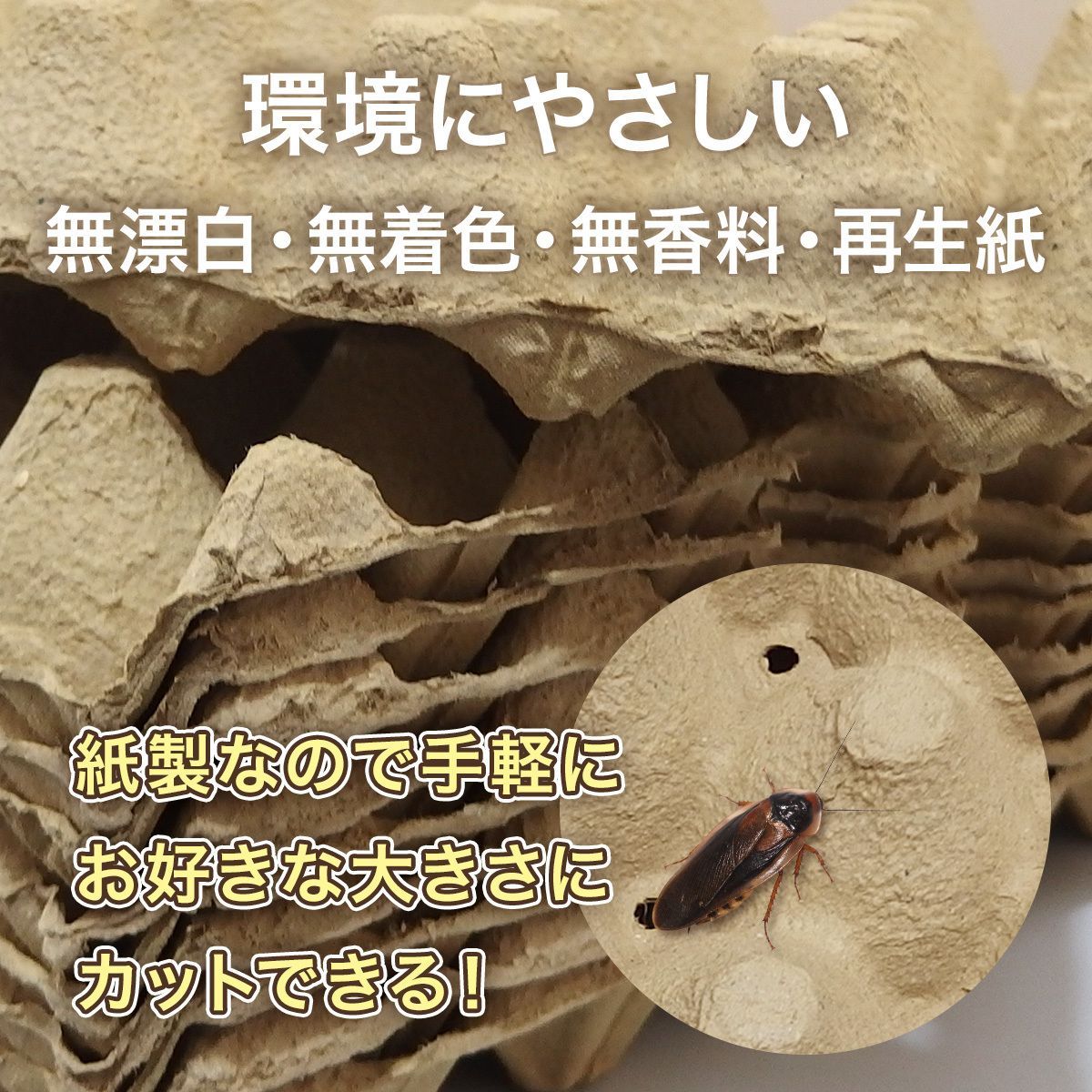 卵トレー 卵パック 紙製 コオロギ デュビア 昆虫飼育 10枚セット