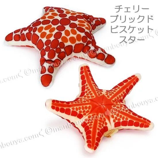 ①今だけプレゼント付き♥ヒトデぬいぐるみ☆ハンドメイド海ぬいぐるみ 星 水族館 ヒトデ ぬいぐるみ 水族館 おもちゃ 人形 ぽけぷに 海星