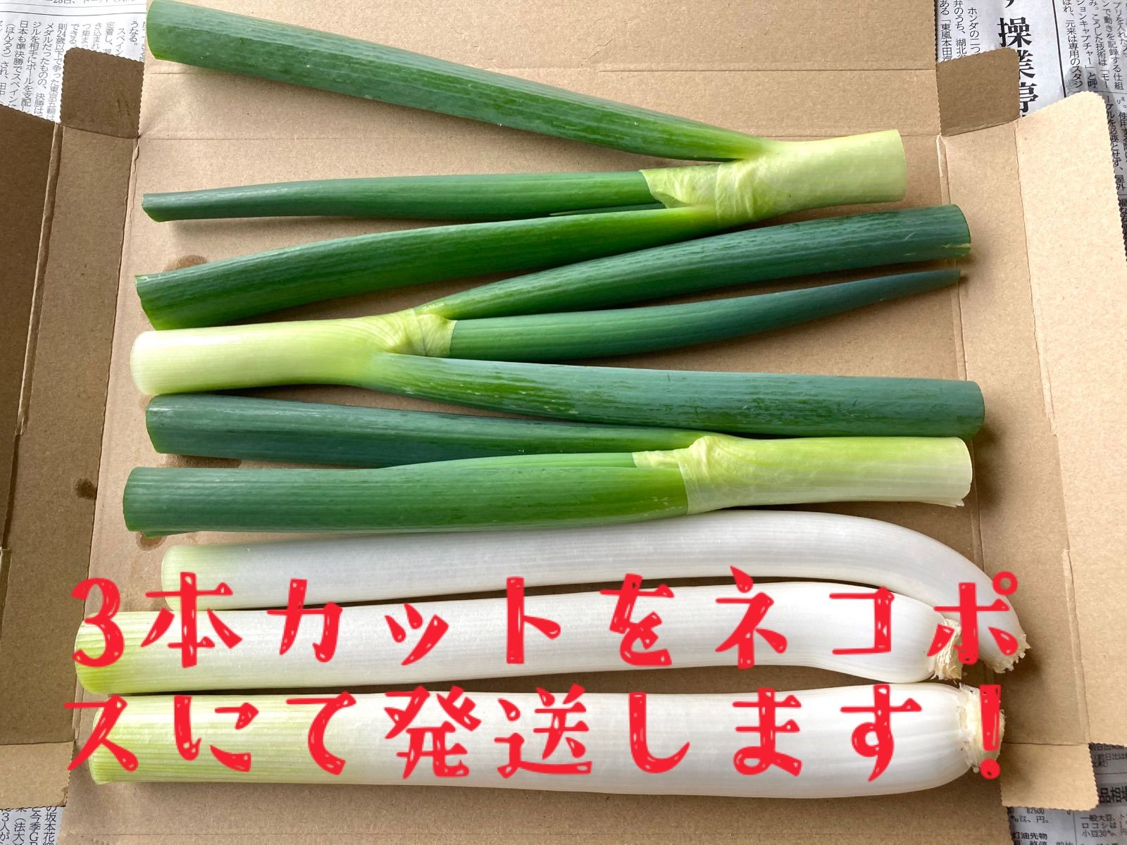 専用商品 土ネギ 20kg 『冠雪葱』 白ネギ 長ネギ - 野菜