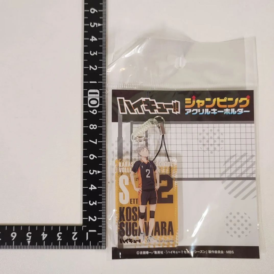 【新品未開封】 ハイキューざんねんさん　菅原　未使用即購入OK！コメント不要。 ハイキュー5巻 新品未開封シュリンク付き イラストペーパー付き