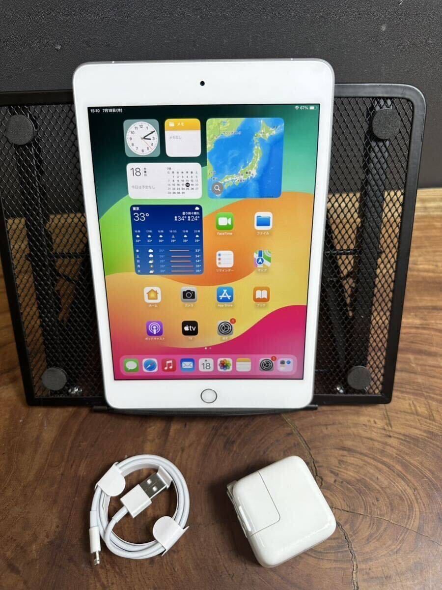 Apple iPad mini (5世代)/ 256GB/Wi-Fi +SIMフリー /cellular