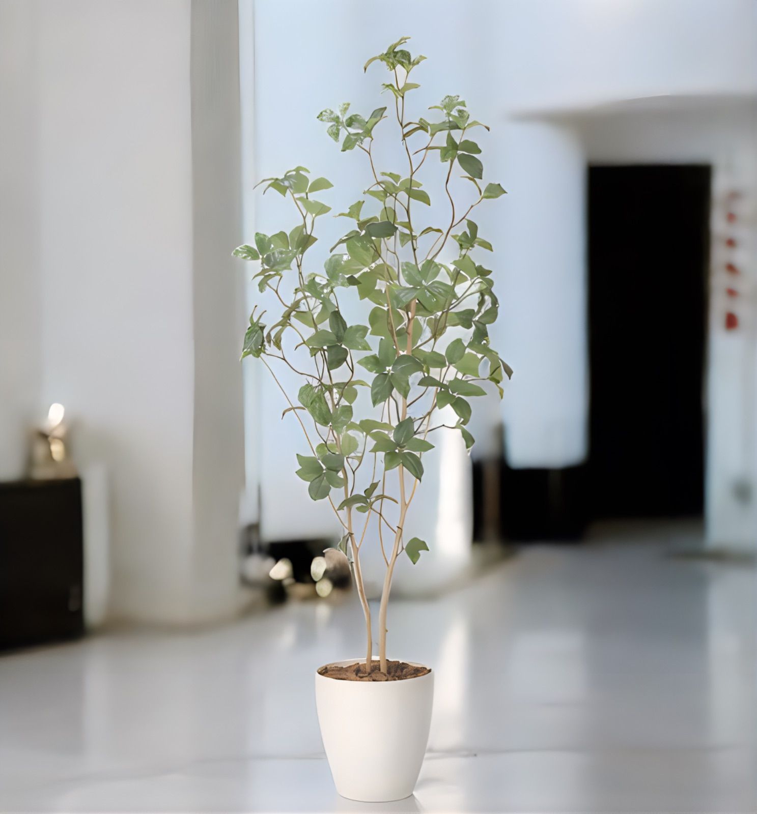 光触媒　人工観葉植物　ウォールグリーン　フェイクグリーン　サラサドウダン1.6 光触媒 人工観葉植物 ウォールグリーン フェイクグリーン サラサ