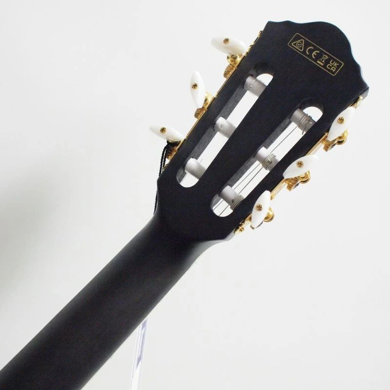  Ibanez TOD 10 N-TKF Tim Henson Signature Model ティム･ヘンソン アイバニーズ クラシックギター ギター