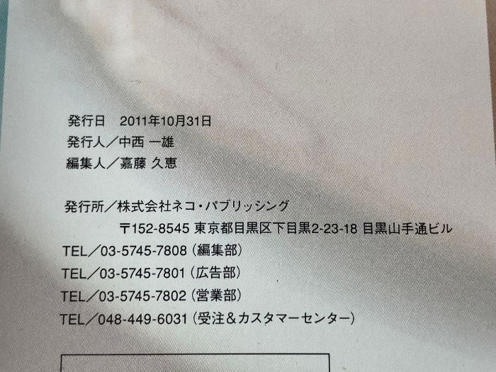 ファイヤーキング・パーフェクトブック (NEKO MOOK 1699) ネコ