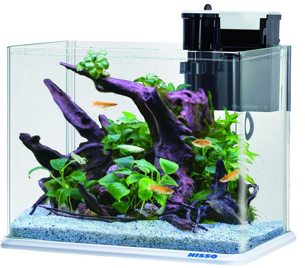 ニッソー 水槽 スティングレー450H LED熱帯魚セット NISSO 水槽 大きめ