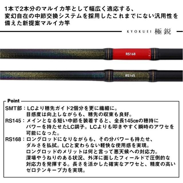 ダイワ 極鋭マルイカEX RS | 釣具 釣り フィッシング - メルカリ