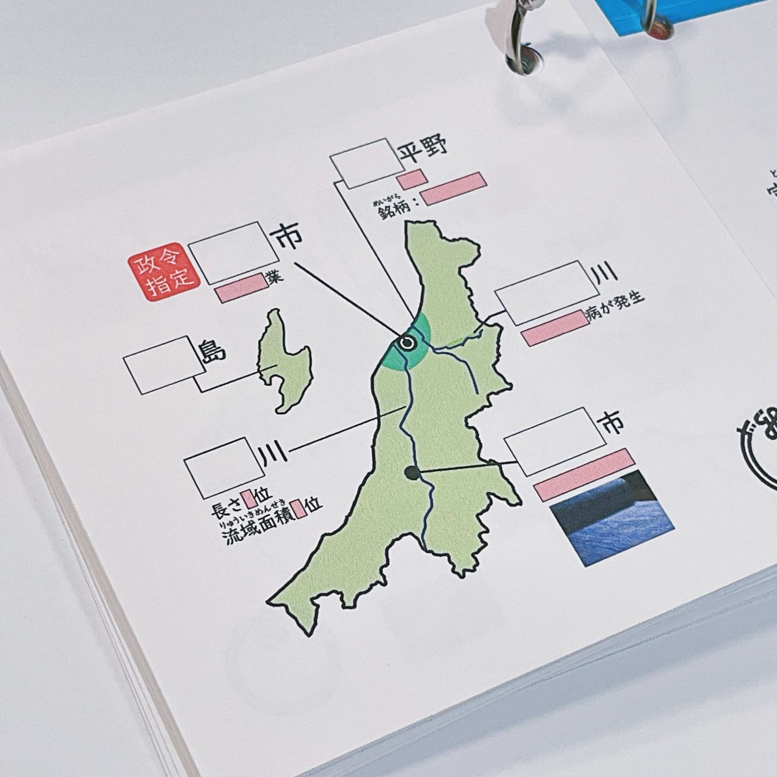 中学受験「都道府県カード」基礎・標準レベル暗記カード　カット済み　中学入試