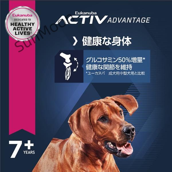 大型犬用