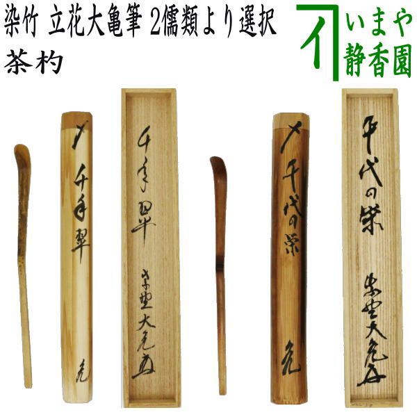 【茶道具】裏千家今日庵筆　『緑毛万年亀』短冊40 茶道具】裏千家今日庵筆 『緑毛万年亀』短冊40