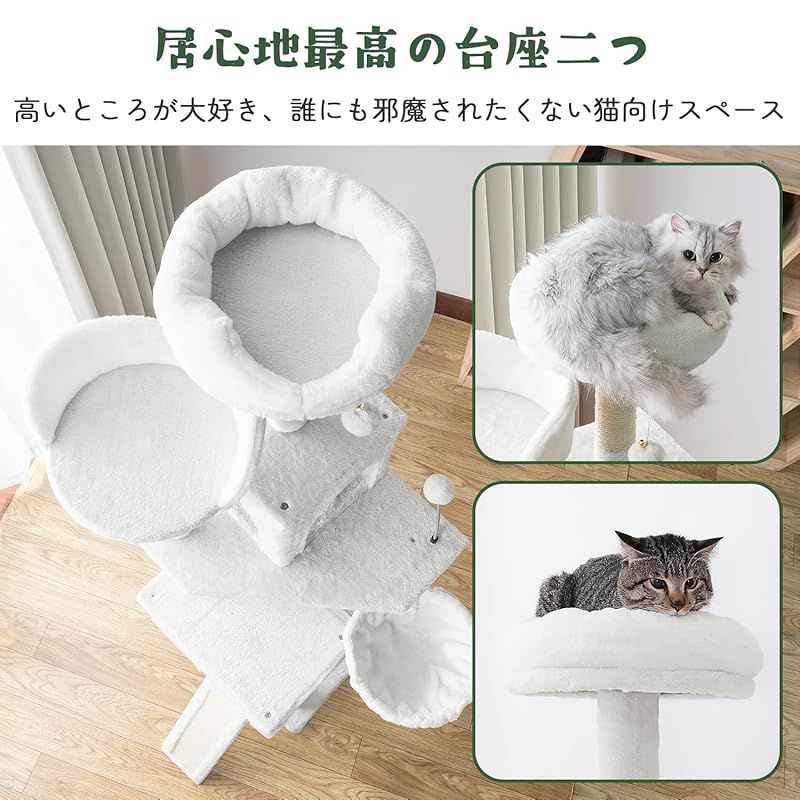 中型 多頭飼い