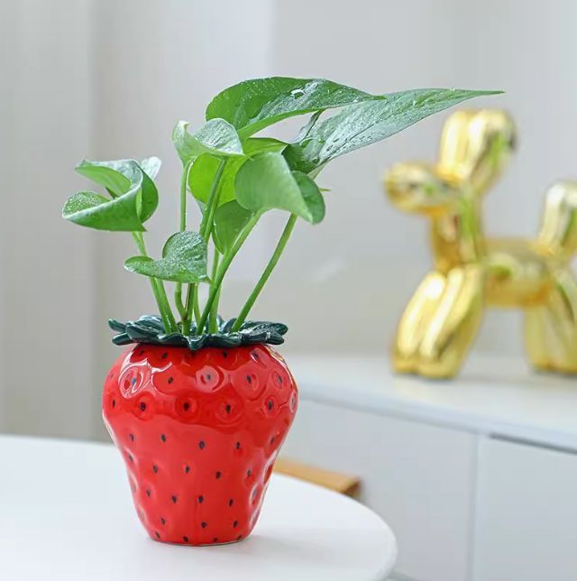 新しい未使用 イチゴの植木鉢 プランター プラントポット