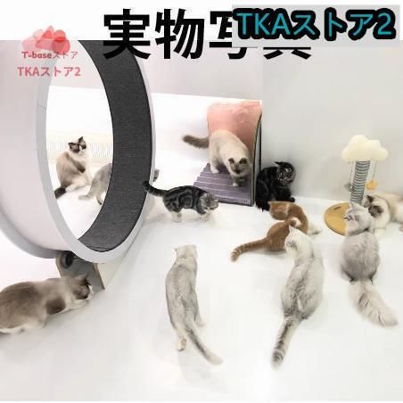 猫のトレッドミルの車輪