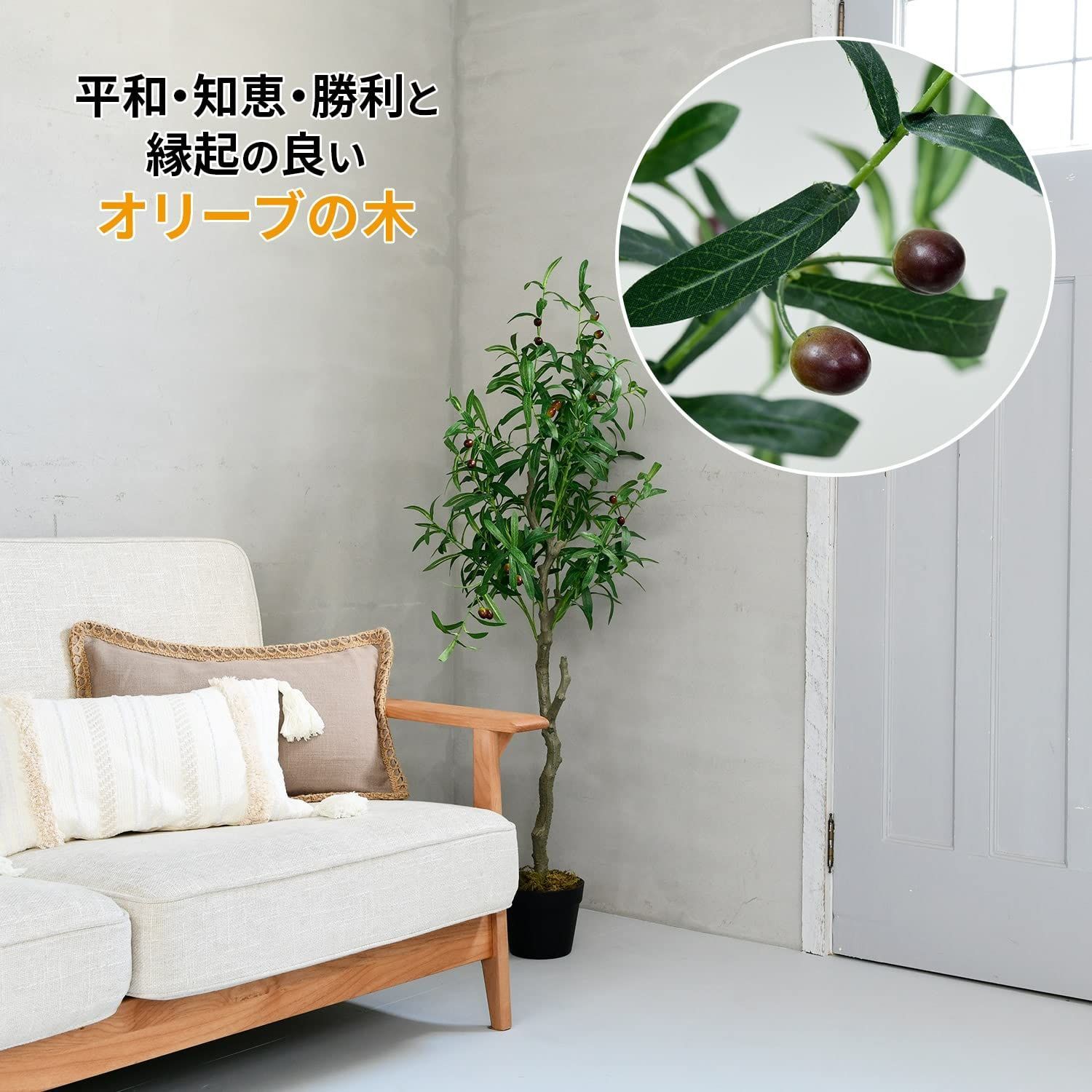 水やり不要 枯れない