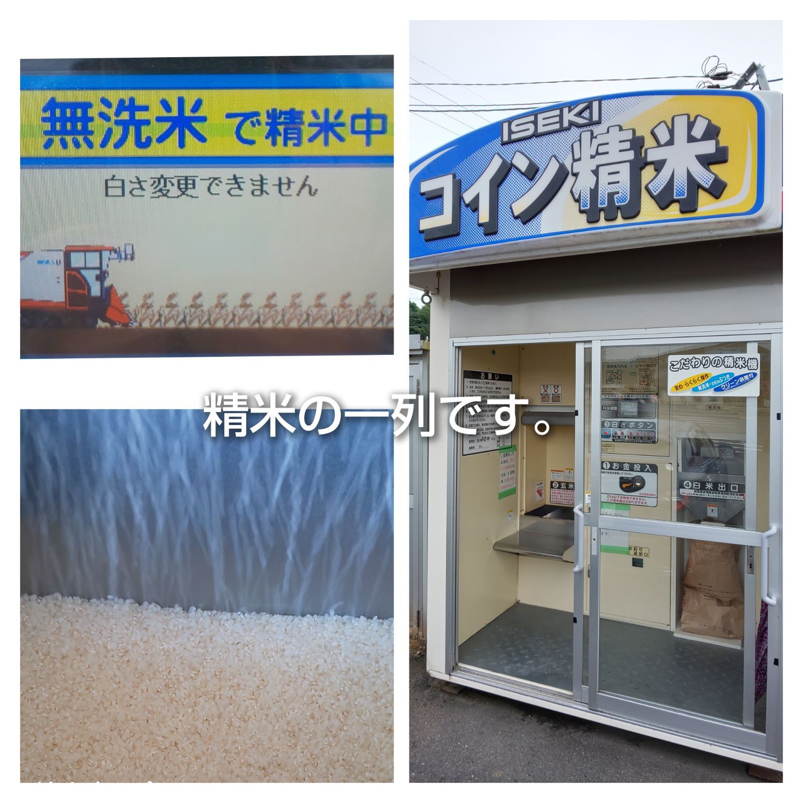 令和5年産三重県伊賀市産コシヒカリ20㎏ 5㎏×4無洗米( 送料精米料消費