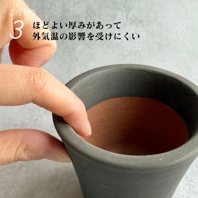 モダン 多肉植物