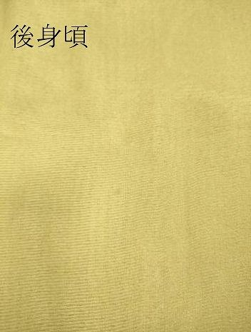 平和屋着物▽訪問着 無双 紗袷 紗×絽 吉祥花文 暈し染め 正絹 逸品