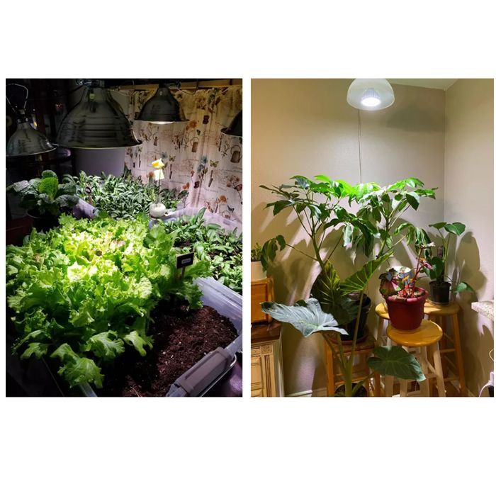 植物育成専用ＬＥＤ　SOLEIL　ソレイル　12Ｗ　口金Ｅ２６　植物育成ライト　　観葉植物　テラリウム