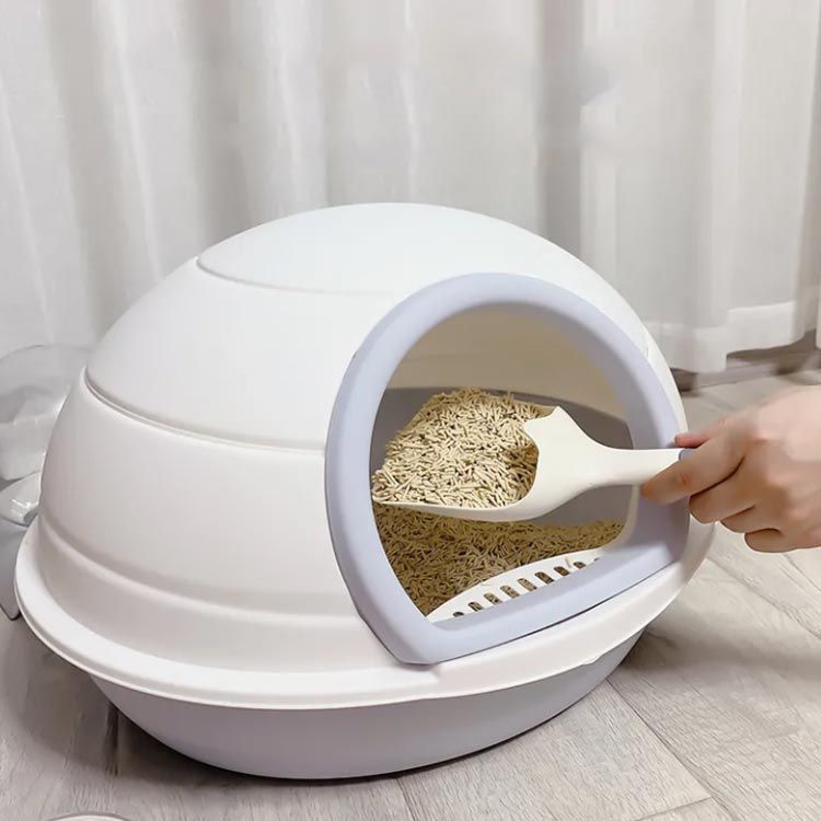 大型