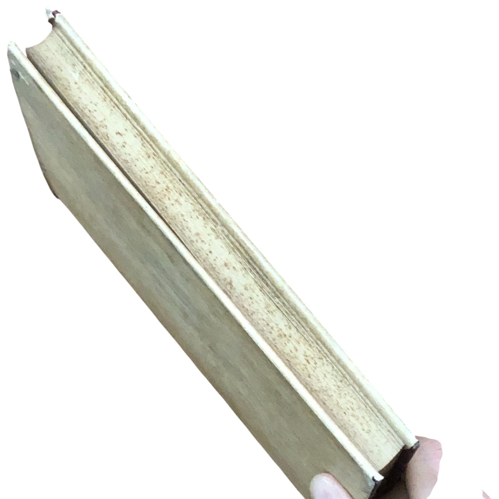 中村環 糟谷徹三郎