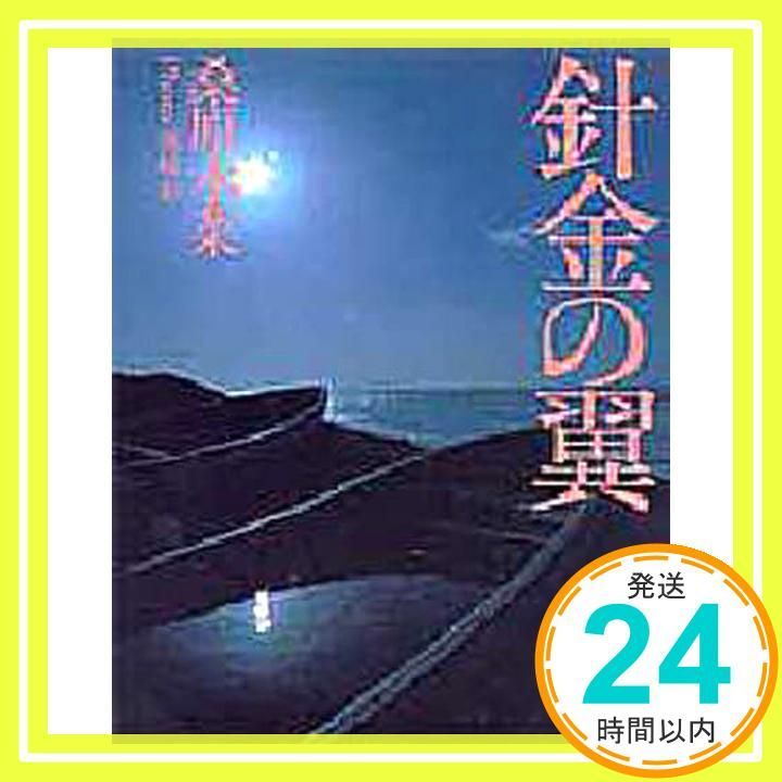 針金の翼 May 20 1997 桑原 水菜 黒崎 彰_02