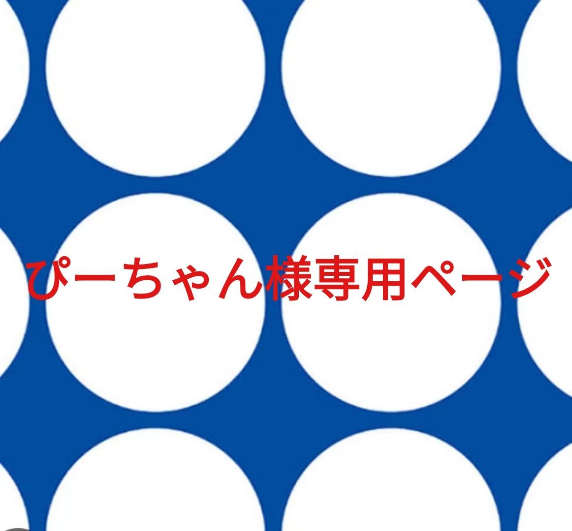 ぴーちゃん様専用ページです。 - メルカリ