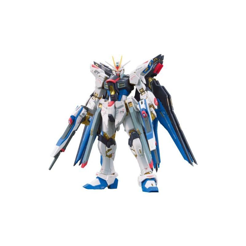 RG 機動戦士ガンダムSEED DESTINY ZGMF-X20A ストライク