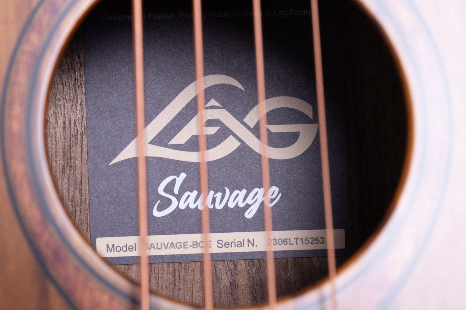 Guitars