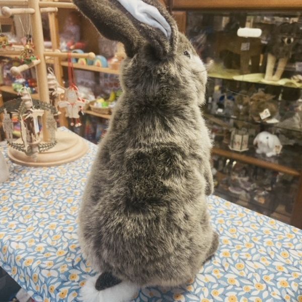 ケーセン ウサギ 立ち ベージュ - メルカリ