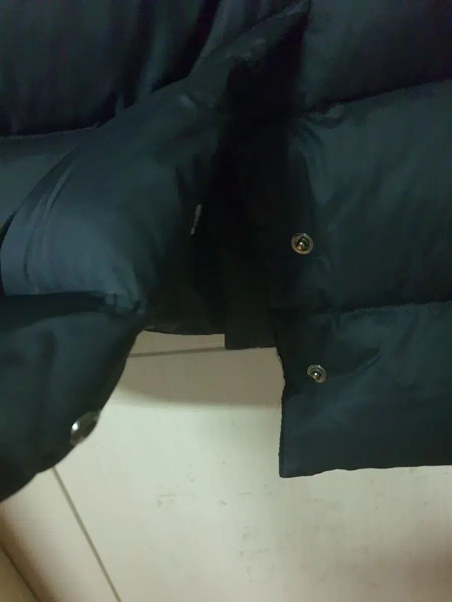 BEANPOLE ビンポール