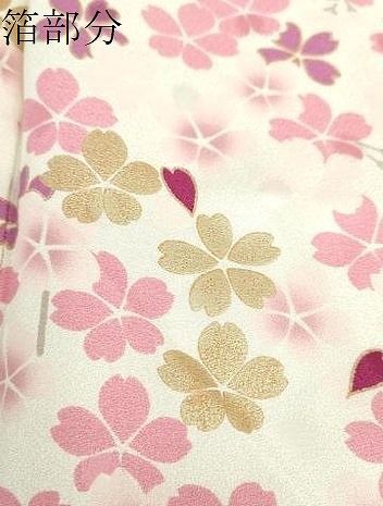 本物隕石 超希少カラーセイムチャン隕石 meteorite 宇宙パワー 本物