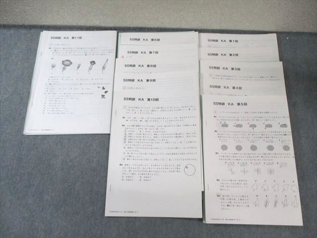 SAPIX 小6 サピックス 開成コース SS特訓 KA 第1回〜第11回 理科 【全11回分フルセット】 020m2D SAPIX 小6 サピックス 開成コース SS特訓 KA 第1回～第11回 理科