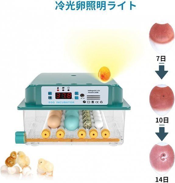 恒温器