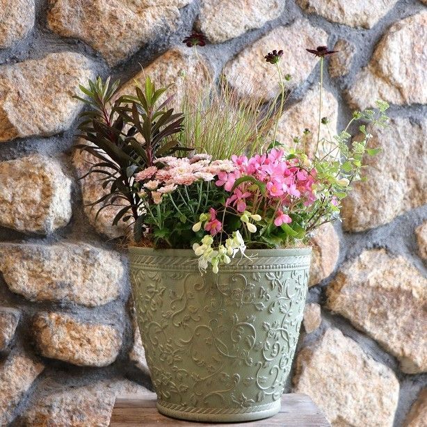 当店オリジナル 秋の草花のエレガントスタイル寄せ植え 現品１９８