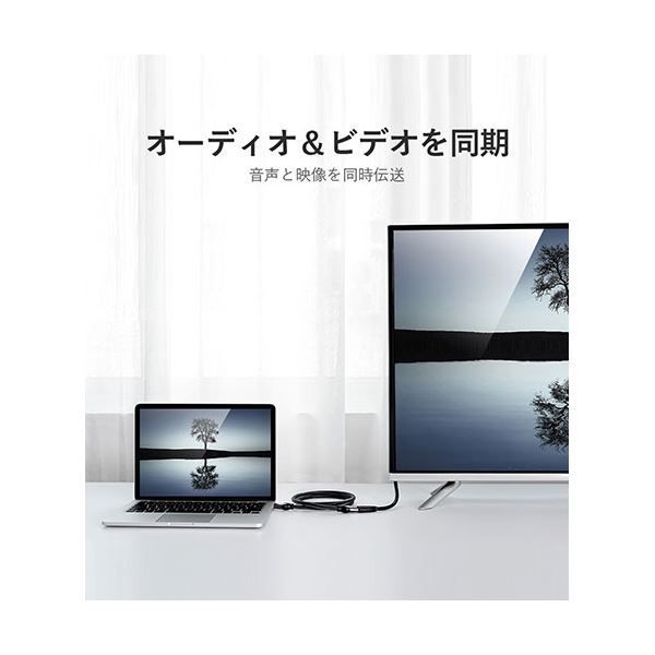 4K対応 HDMIケーブル WIREWORLD UHH7⁄1.0m 4K対応 HDMIケーブル