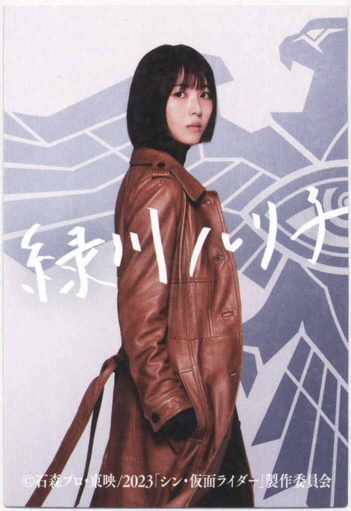 S.H.Figuarts 仮面ライダー　３体セット Active 1067080SU ハイスロKIT TYPE-3/ステン金具 巻取直径32 G