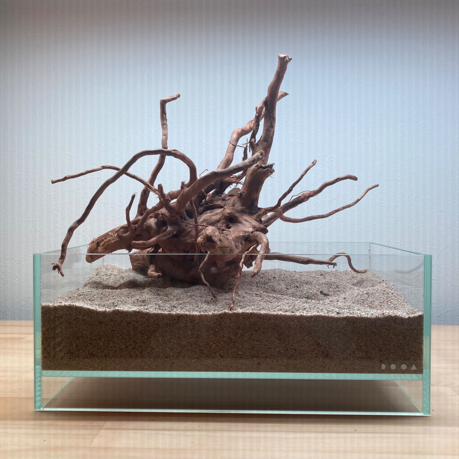 ブランチウッド系流木【セレクト品】003 - メルカリ