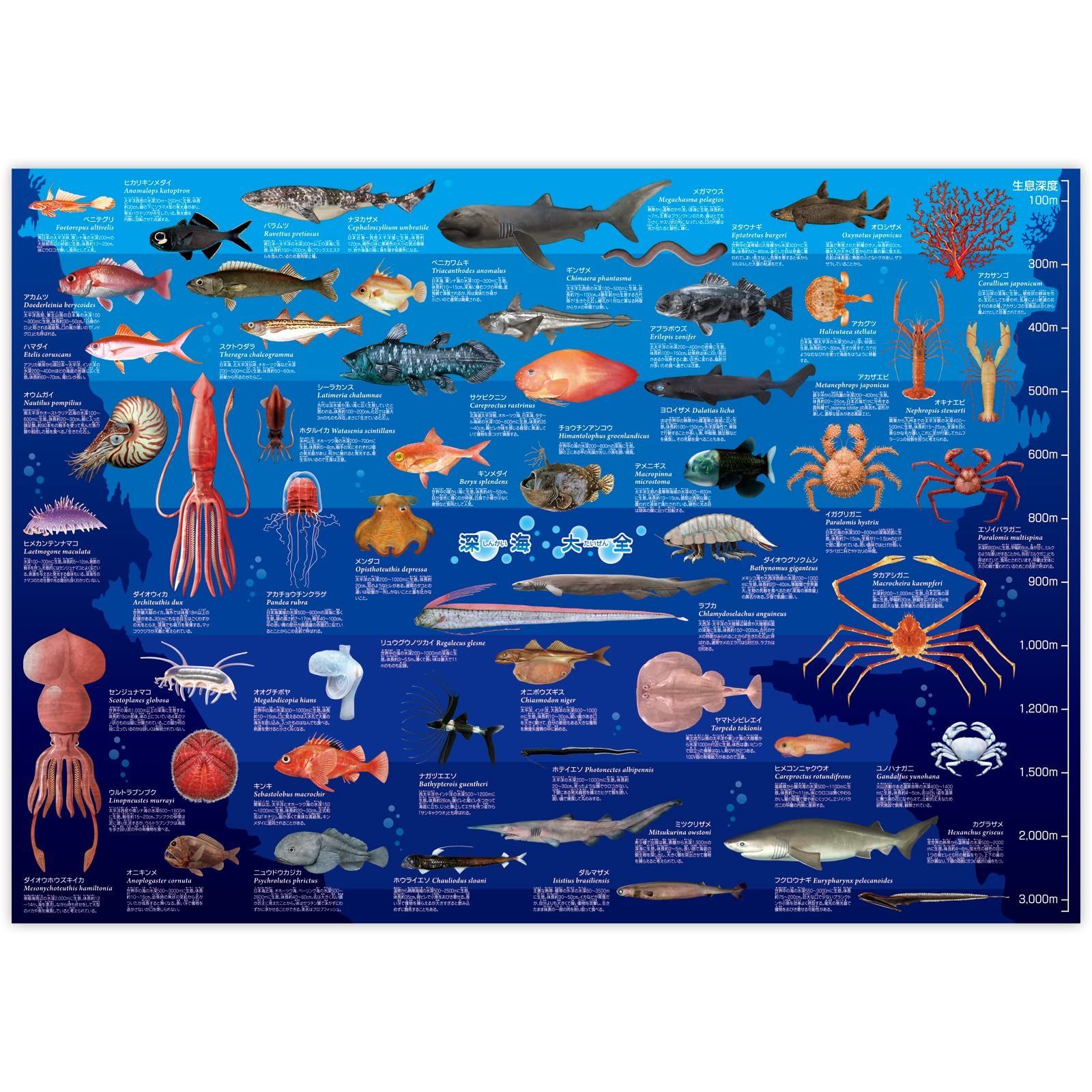 【在庫処分】動物 A1 水族館 深海大全 ポスター ザ・アクセス