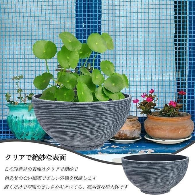 大型植木鉢 水草