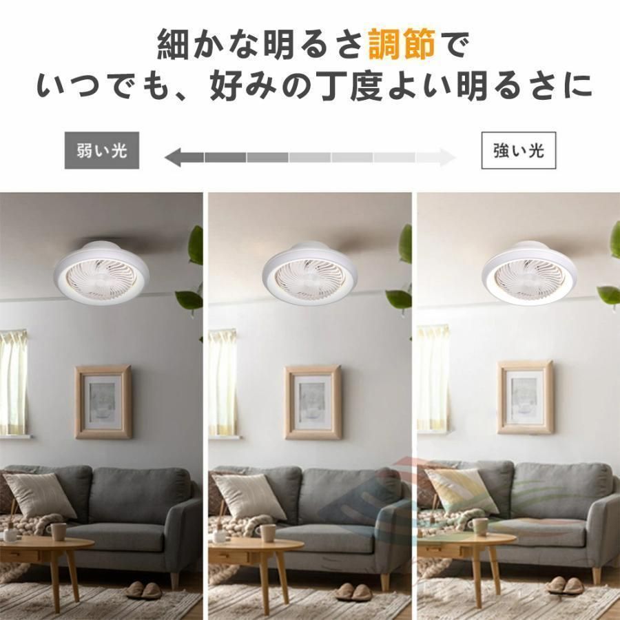 サーキユレーター