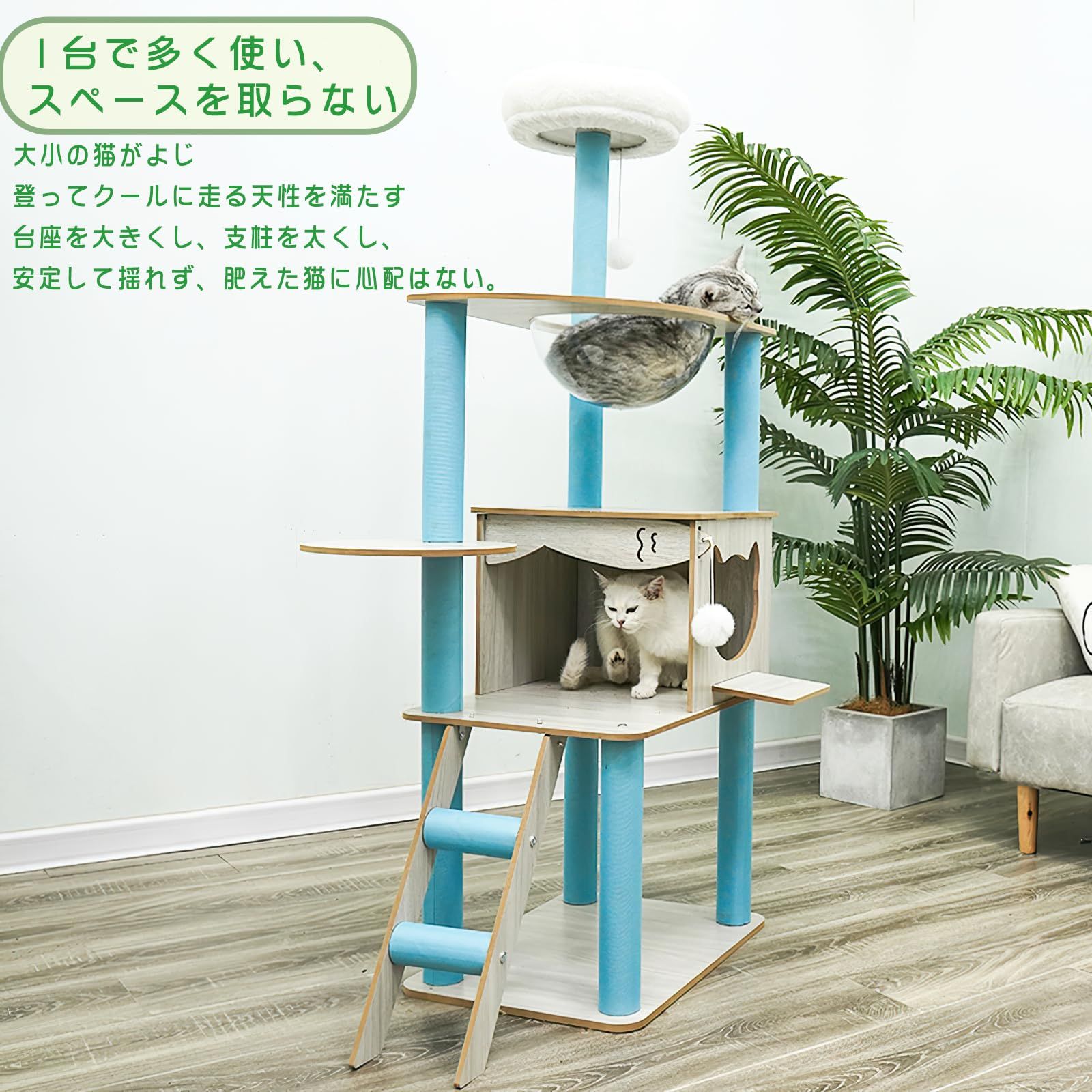 大型猫