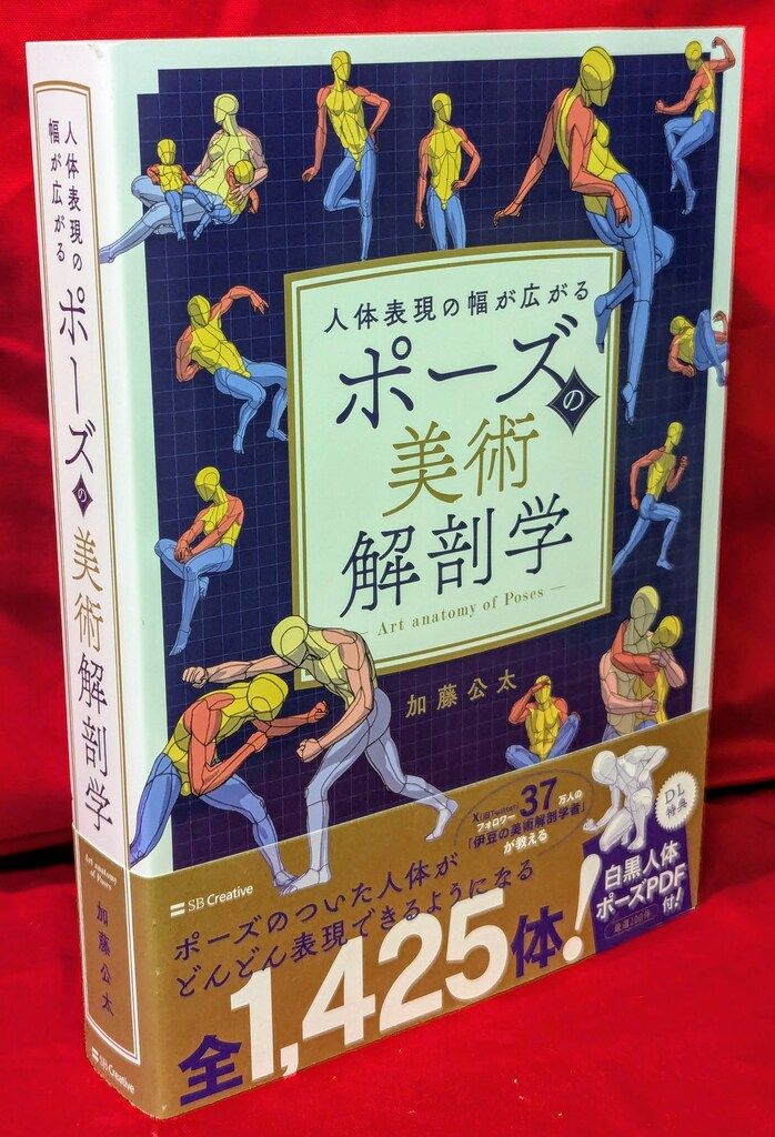 希少 REVE VERSION 5 エミリッドバハマスリーブ付き 美品