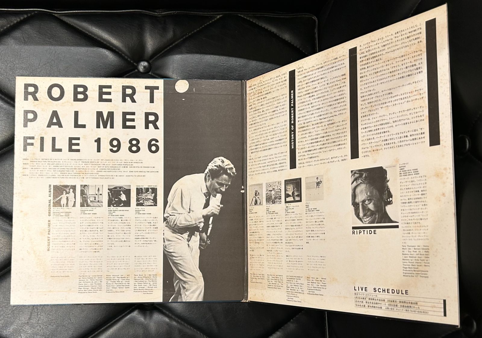 レコード 【プロモオンリー編集盤LP】ロバート・パーマー 「File 1968 