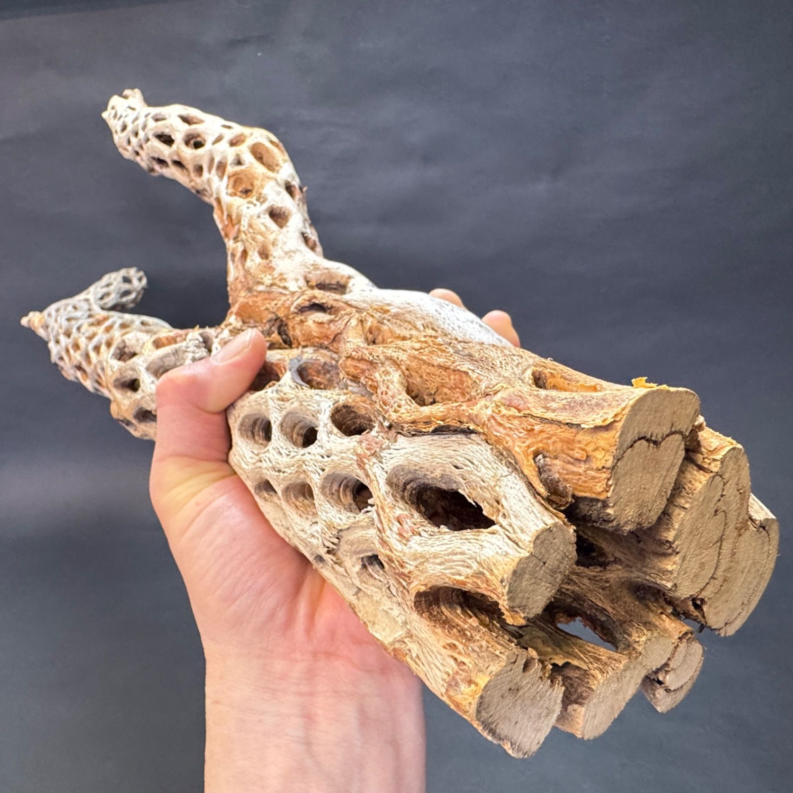 長さ86cm×最大幅27cm×最大φ9.5cm＊