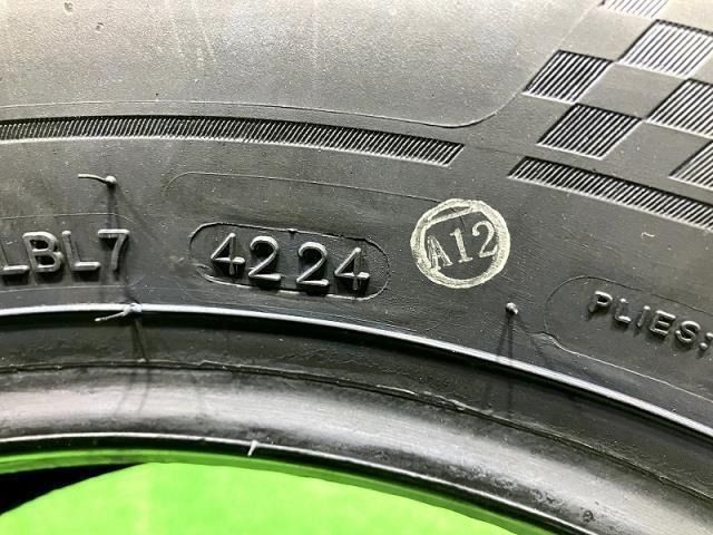 ZEETEX サマー