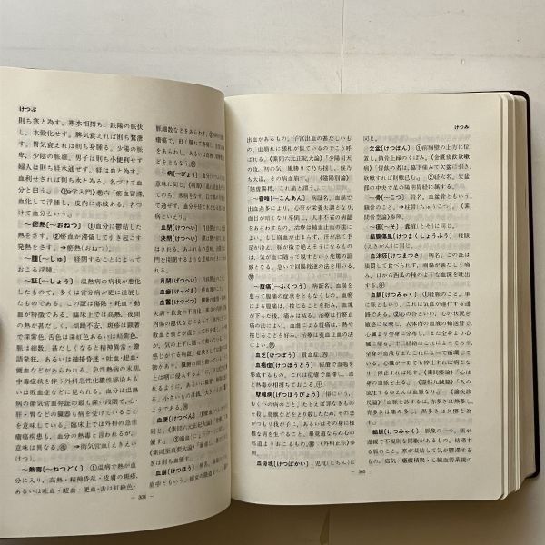 漢方用語大辞典 創医会学術部 編 燎原 1984年 ☆東洋医学 B22yn 【公式