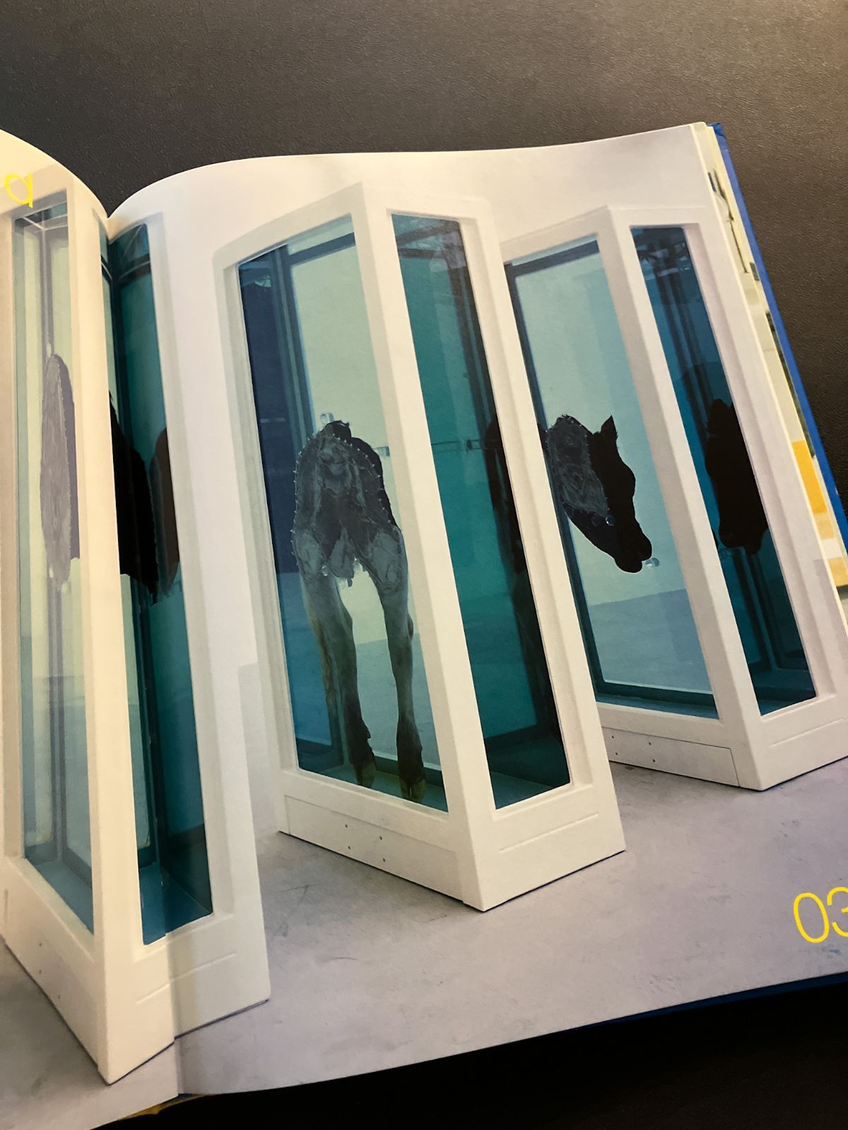 ダミアン・ハーストの作品集 Damien Hirst - メルカリ