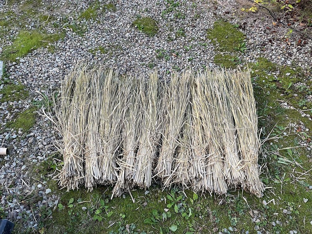 約5kg 長い藁 束 稲藁 農薬不使用 無農薬 天日干し 天然乾燥